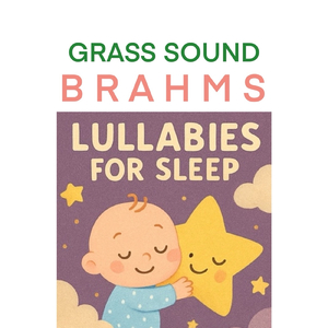 풀벌레 소리 브람스 자장가