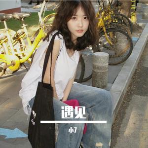 孙燕姿-遇见（小7 remix）