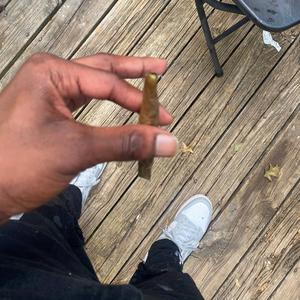 No adlibs