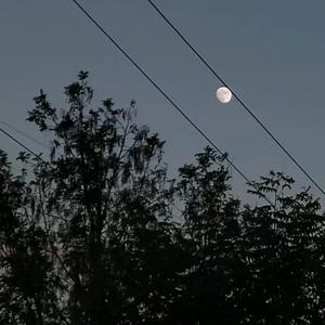 Letting Go+从你的全世界路过