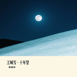 江城雪·十年望