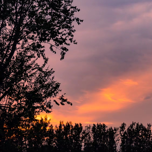 醉人的风景（钢琴版）