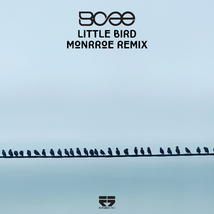 Little Bird (Monrroe Remix)
