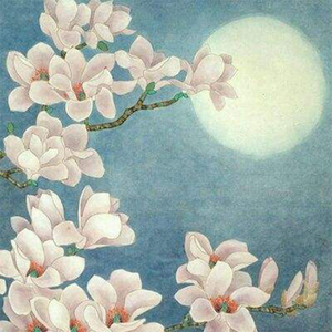 与君长生（Cover 千是）