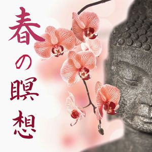 不安な気持ちを浄化