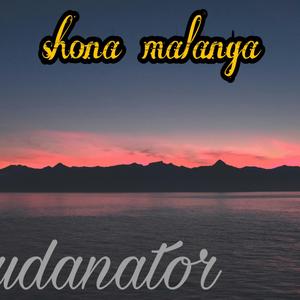 Typ Nator