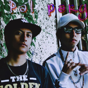 Pal Pary (Remix)