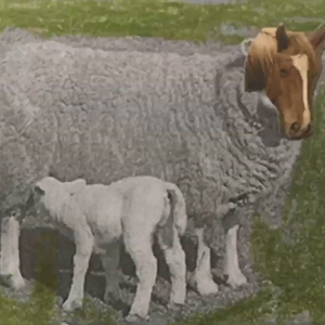 【いなみ】屋上階（Cover 笹川真生)