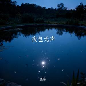 夜色无声