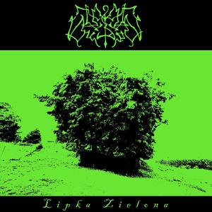 Lipka Zielona