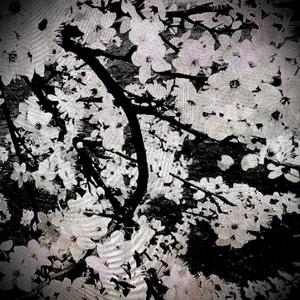 Picknick i köttkvarnen