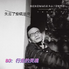 失去了爱情港湾DJ