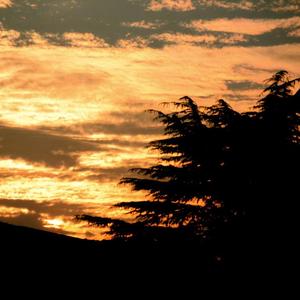 不要你离开距离隔不开