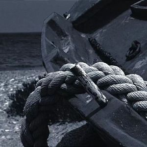 海