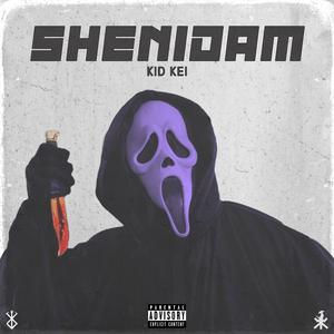 SHENIDAM