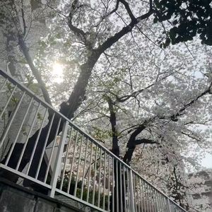 暖忆拾光