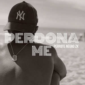 perdona me (Slowed Version)