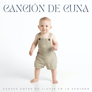 Empapado En Sonidos De Gaviota