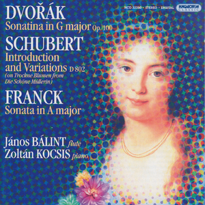 Violin Sonatina in G Major, Op. 100, B. 183:I. Allegretto risoluto (Arr. J. Balint for flute and piano)