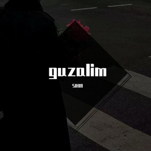 san san minig hamguzarim