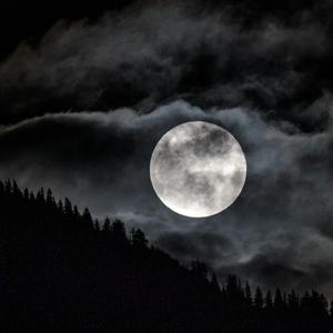 STRAIGHT TO THE MOON (feat. DSCMAJOR)