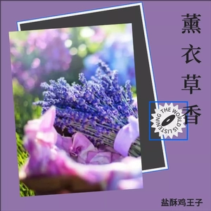 薰衣草 (demo)