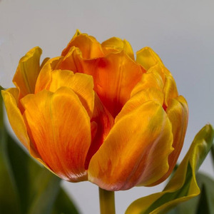 After The Storm (Sped up)