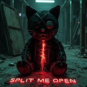 Split Me Open