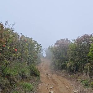 清晨·微光