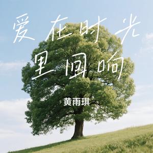 爱在时光里回响