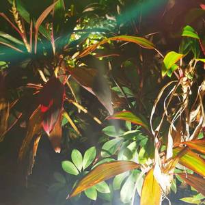 真不错PROD BY GOAT