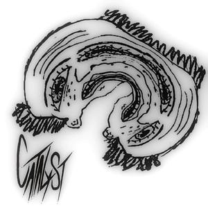 I don't wanna see you