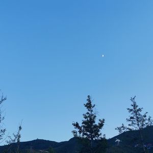 告五人-唯一钢琴版（GENUINE SAINTHOOD remix）