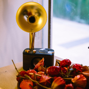 冥想时光的思绪漫游 (放松纯音乐)