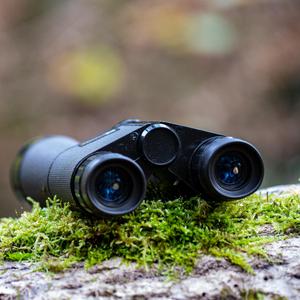 Look What You've Done