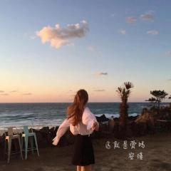 我爱你无畏人海的拥挤 (DJ版)