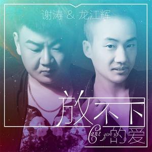 放不下的爱(DJ何鹏版)