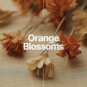 Orange Blossoms