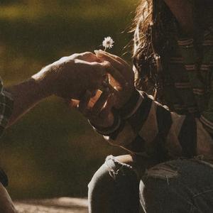 wayway halidam （哈利大木）现场版