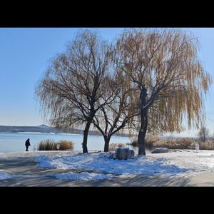 预见美好背后的悲伤与泪水