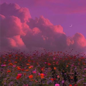 用浪漫去定义你