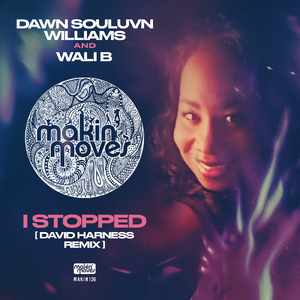 I Stopped (David Harness Vocal Remix)