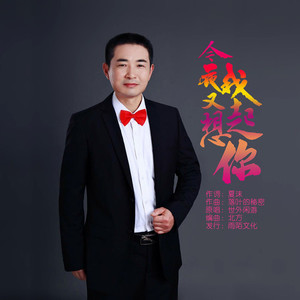 今夜我又想起你