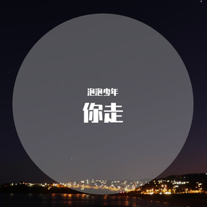 你走（抖音完整版）