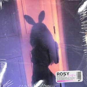 R&B Type Beat "Rosy"