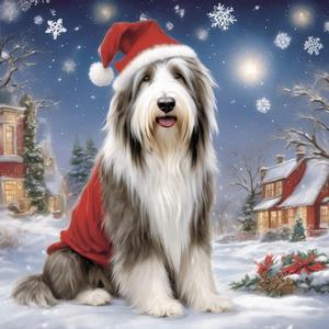 Weihnachsbeardie