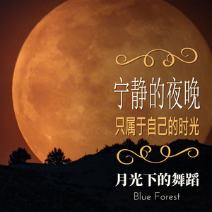 Timeless Midnight Muse