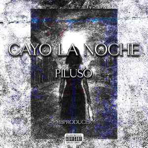CAYÓ LA NOCHE