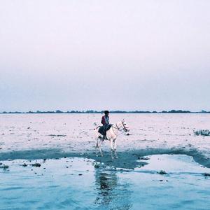 安河桥（翻自 宋冬野）