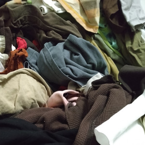 から仕方なくダッ